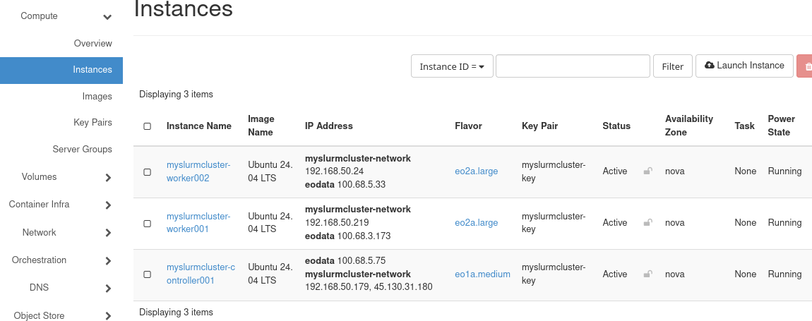 Horizon-Seite Instances mit dem SLURM-Controller und zwei Workern im Status Active und Running.