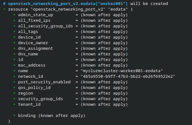 Terraform-Plan mit dem EODATA-Netzwerkport für worker001.