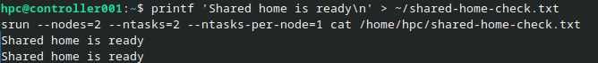 Beide Worker geben Shared home is ready aus, nachdem sie die Datei aus dem gemeinsam genutzten Home-Verzeichnis gelesen haben.